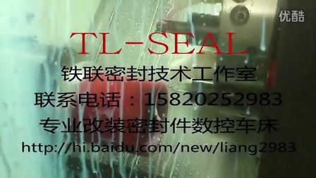 车削密封件,密封件数控车床，无模具密封件加工中心,专业改装密封件数控车床,无模具车削密封件 (1174播放)