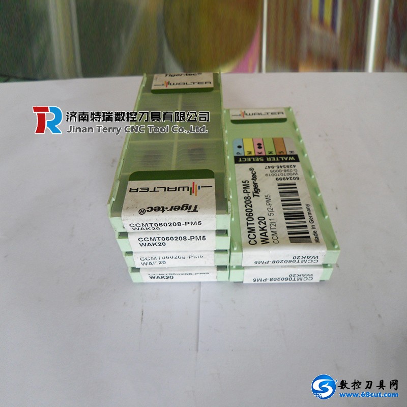 CCMT060208-PM5 WAK20