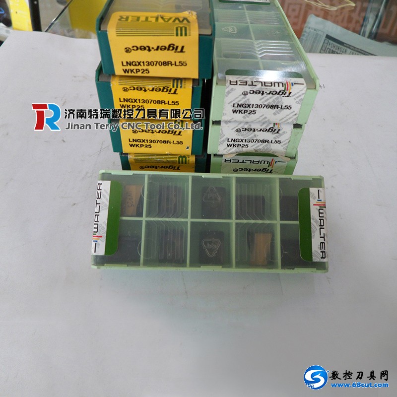LNGX130708 R-L55 WKP25