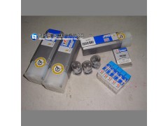 ANKX170608PNTR IC5100
