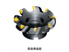 正宗株洲数控铣刀盘FMA01-200-C60-SE12-12原装株洲刀具