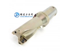 特价山高方肩铣刀批发R217.69-2525.0-12-3AN