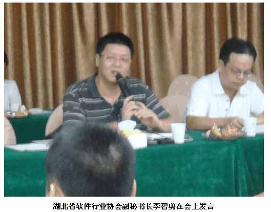 中望2010渠道招募大会武汉站首战告捷
