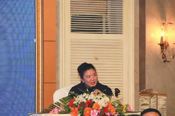 2015年立嘉展情况说明会在渝举行